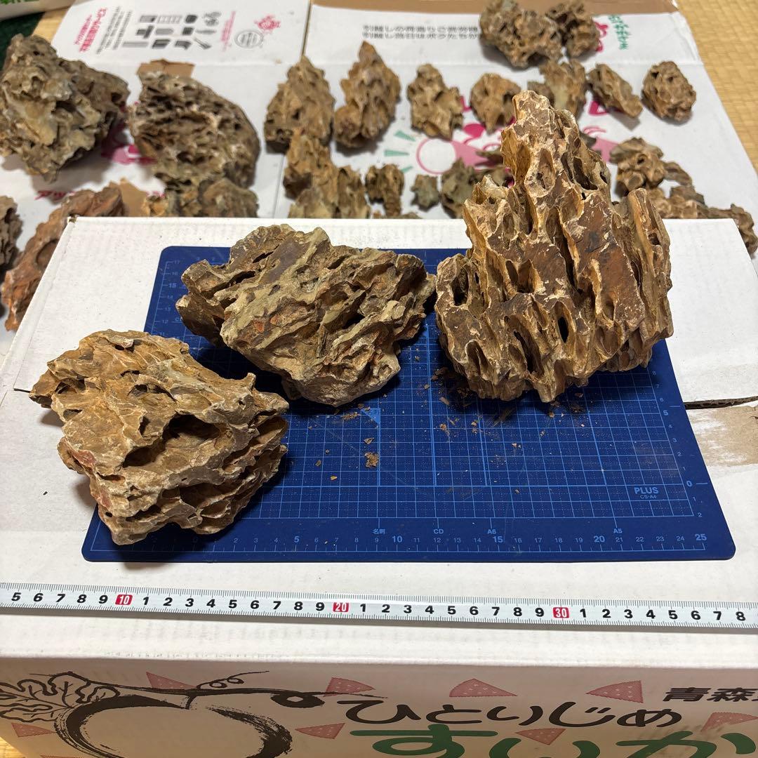 黄虎石　まとめ売り