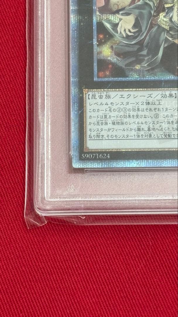 遊戯王 PSA10 アロメロスの虫惑魔 20th