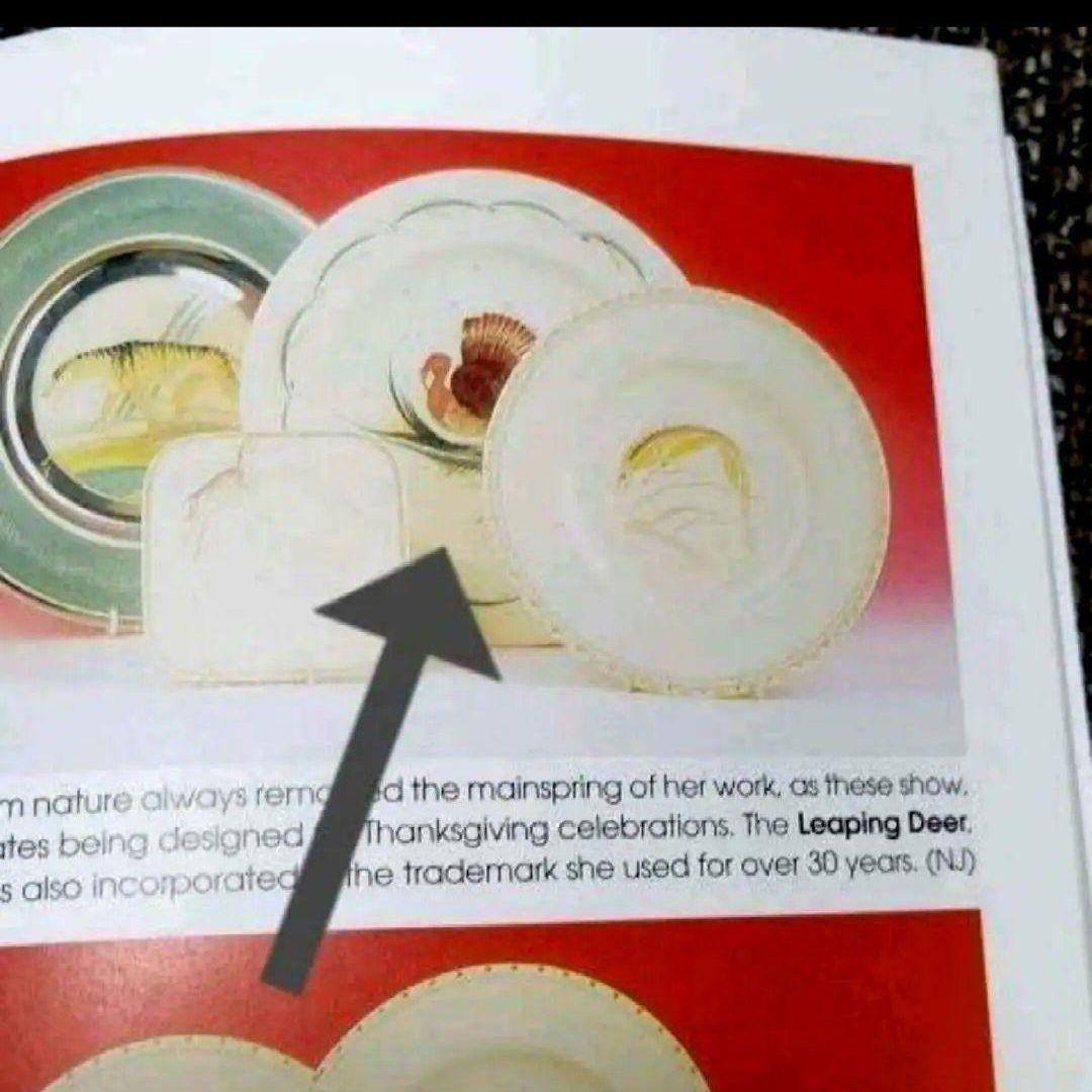 売約済、超美品スージークーパー「七面鳥(ターキー」ディナープレート」大皿２７cm