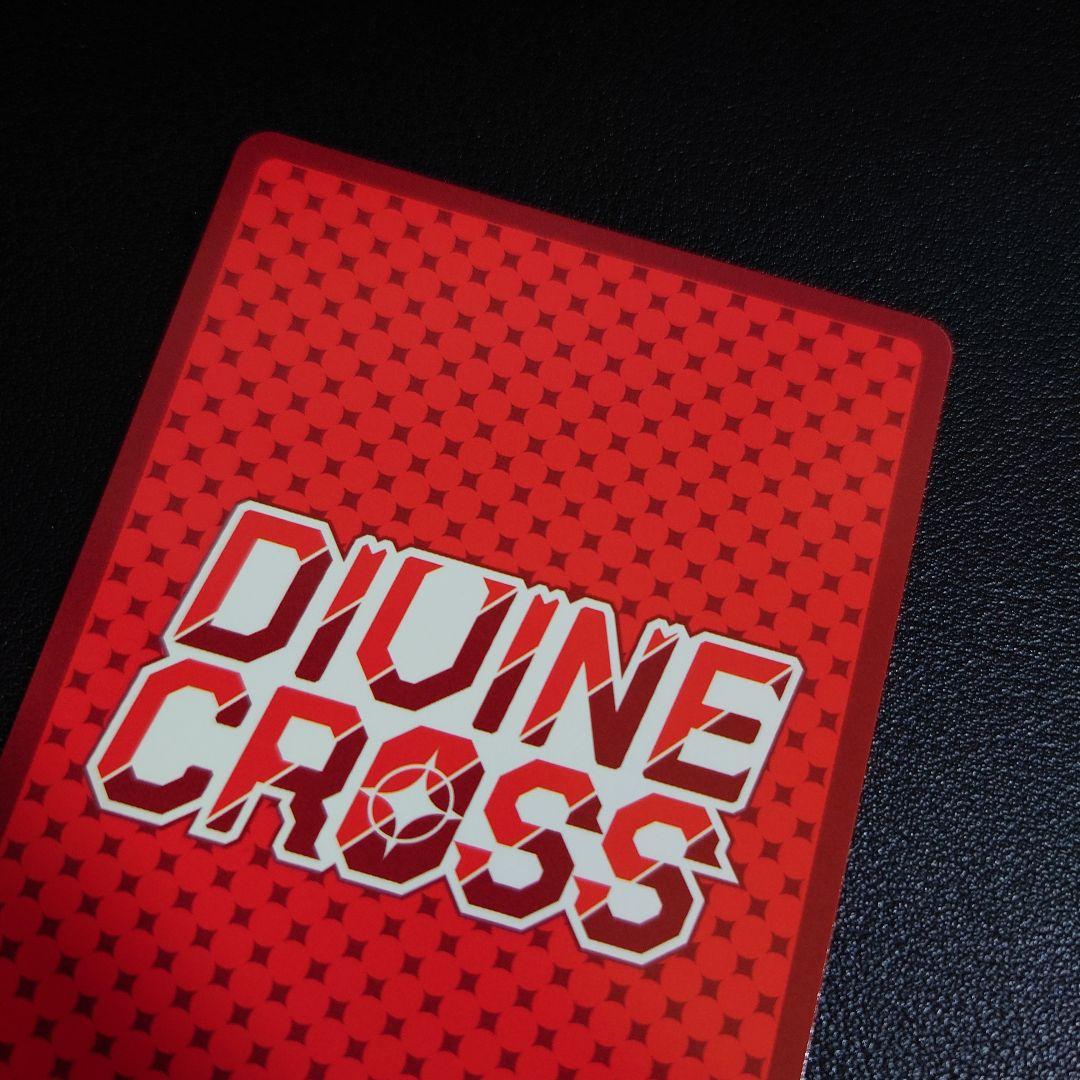 ディヴァインクロス　バニーガーデン　密着ハグ 花奈 シリアル SEC