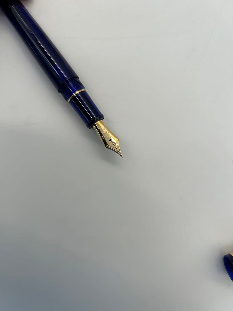 PLATINAM プラチナ万年筆 PNB10000#51-2