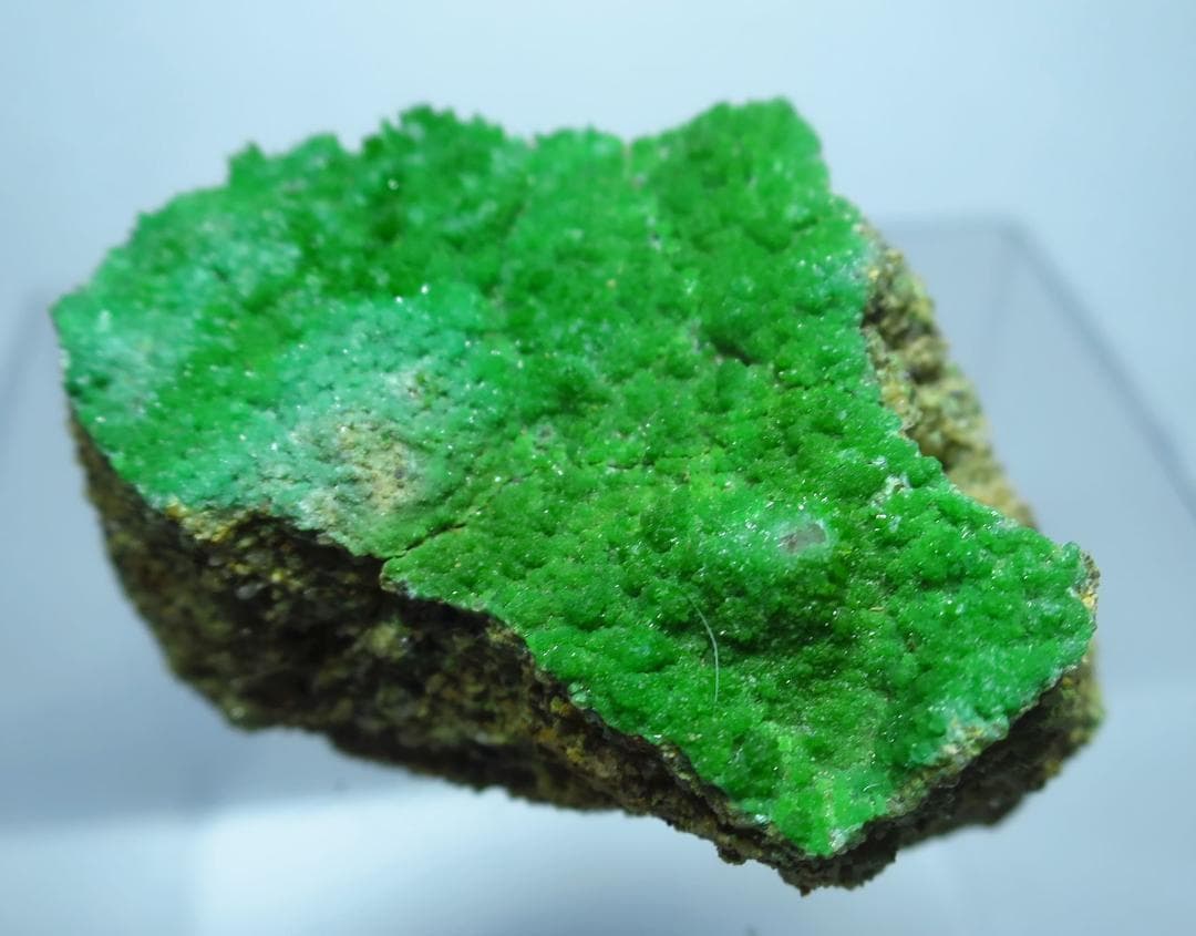 緑鉛鉱 　パイロモルファイト ドイツ産　母岩付き　 鉱物標本