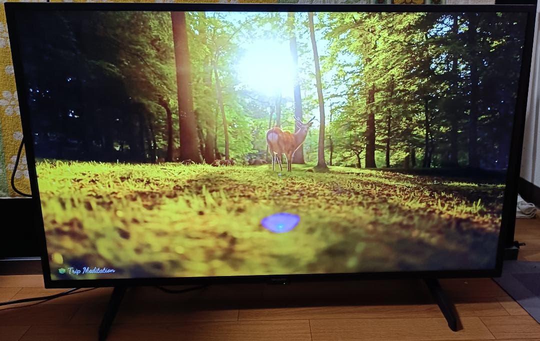 美品 24年製 43V型SHARP AQUOS 4T-C43GJ1 4Kテレビ