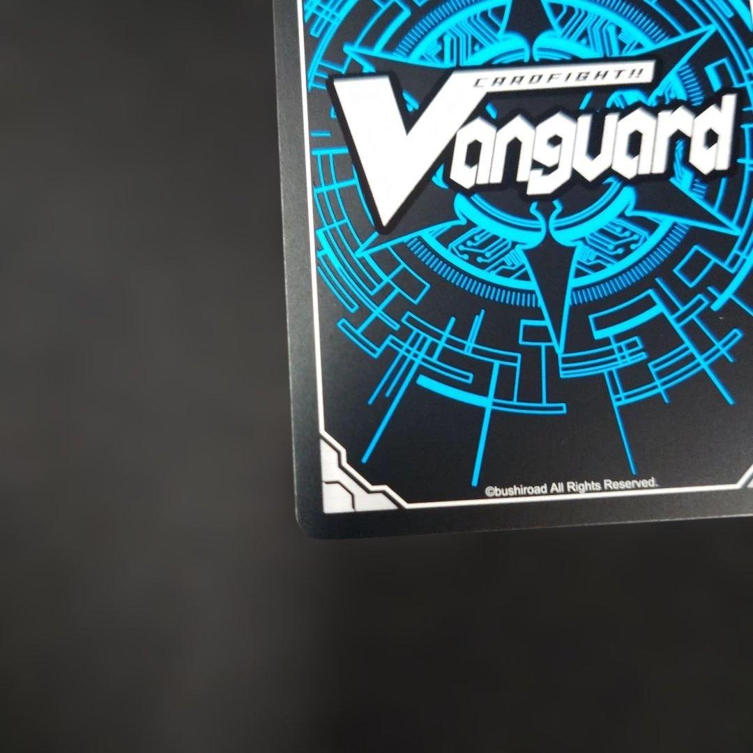 ヴァンガード スノウスキップ パルヴィ TGR+ DZ-LBT02