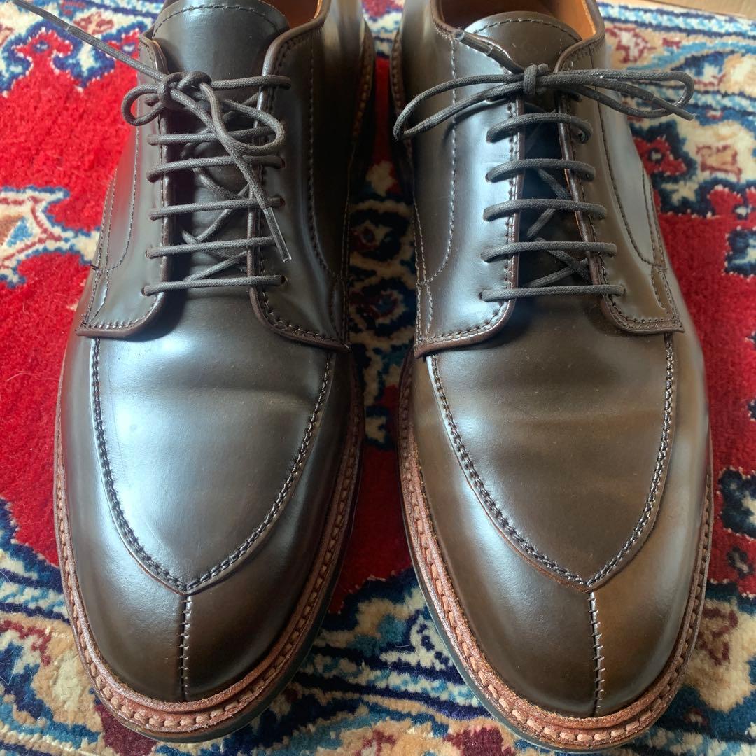 Dblueオールデン　Aledn シガー　コードバン9.5D D1660C