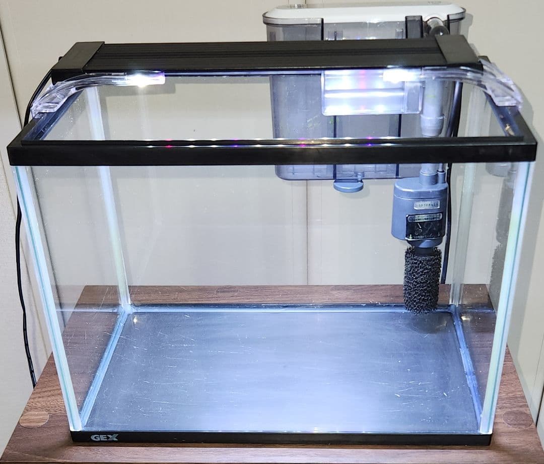 水槽セット 35センチ バラ売り可 福岡引取限定