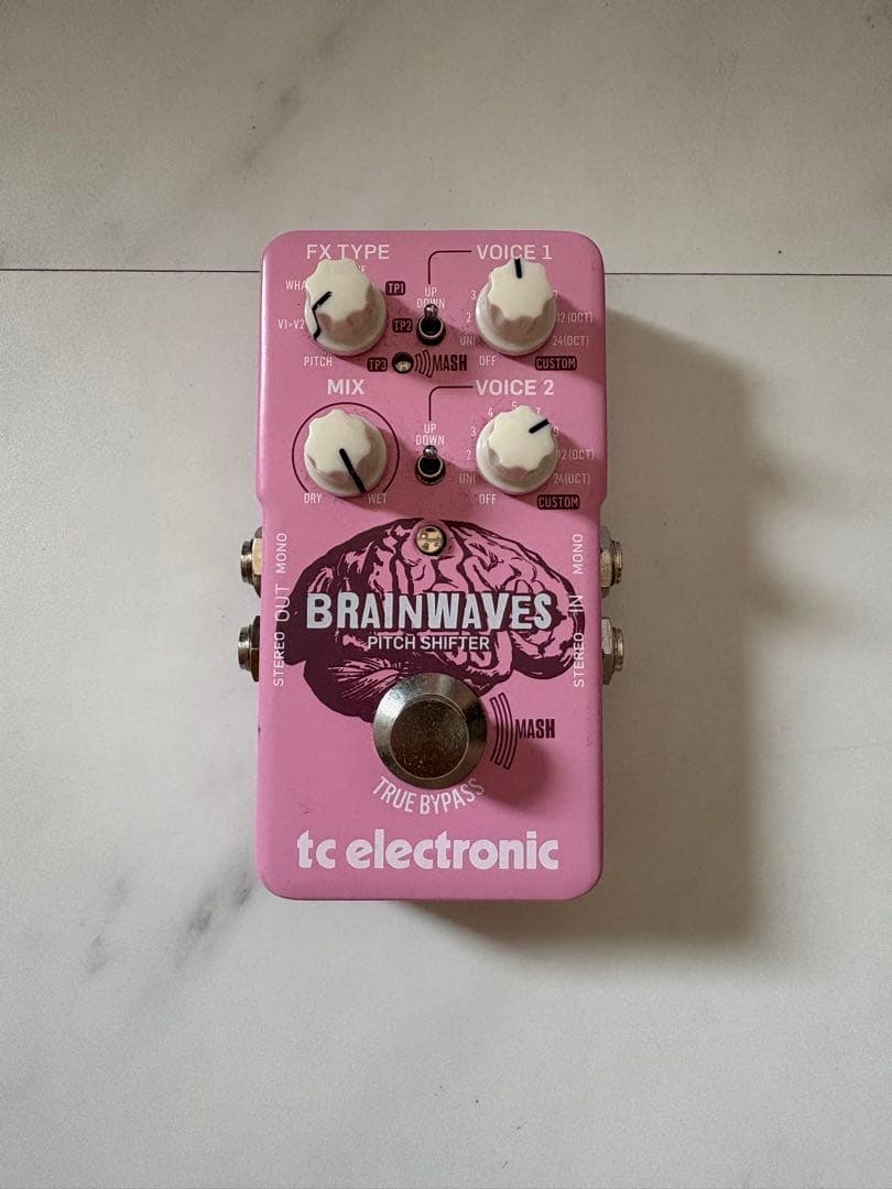 tc electronic Brainwaves ピッチシフター 付属品完備