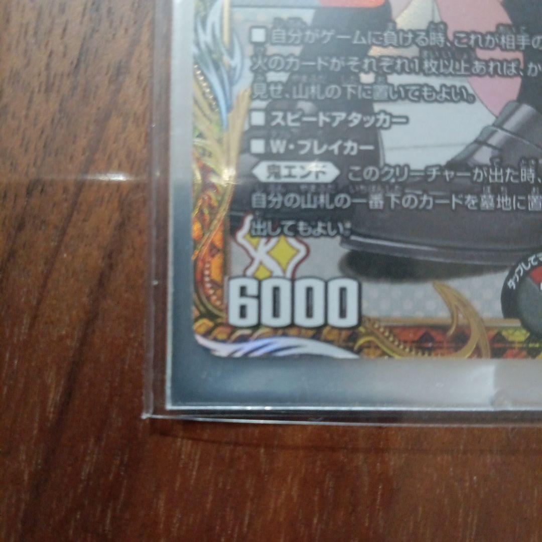 値下げ不可!パラドヴィナシューラ