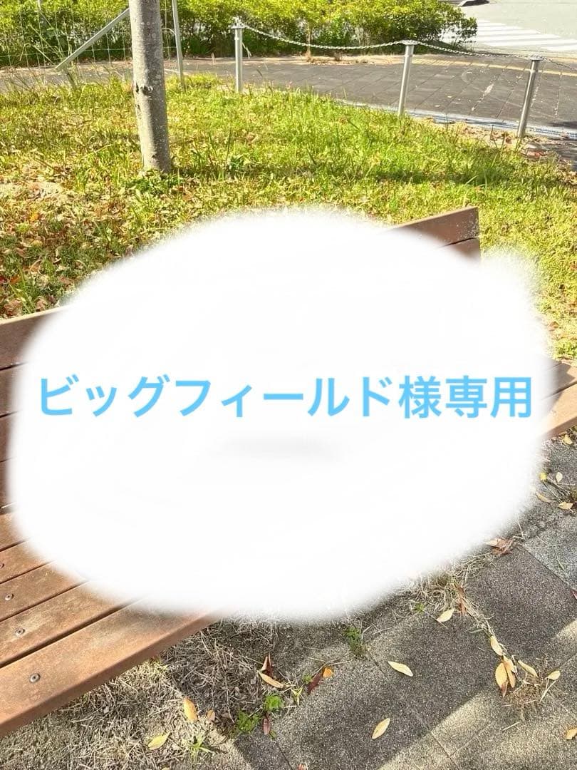 Vivace バリトンサックスケース 黒