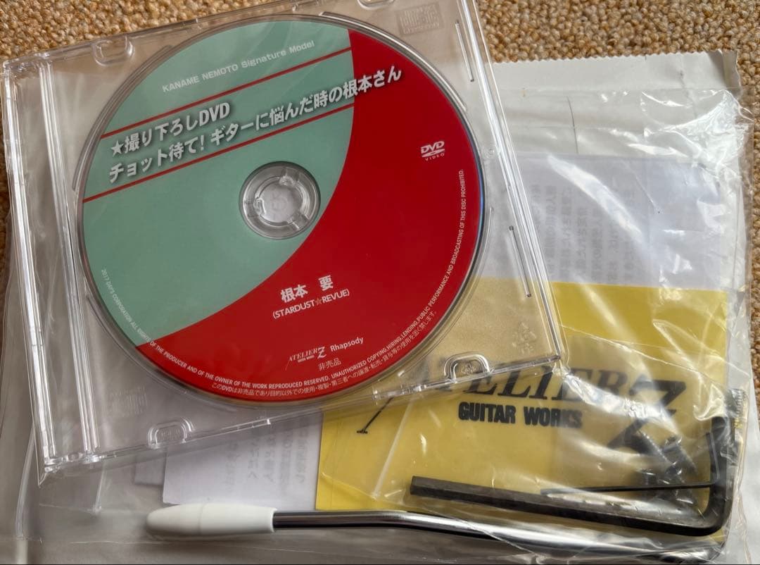 スタレビ 根本要モデル　ギター　Signature Model TYPE2