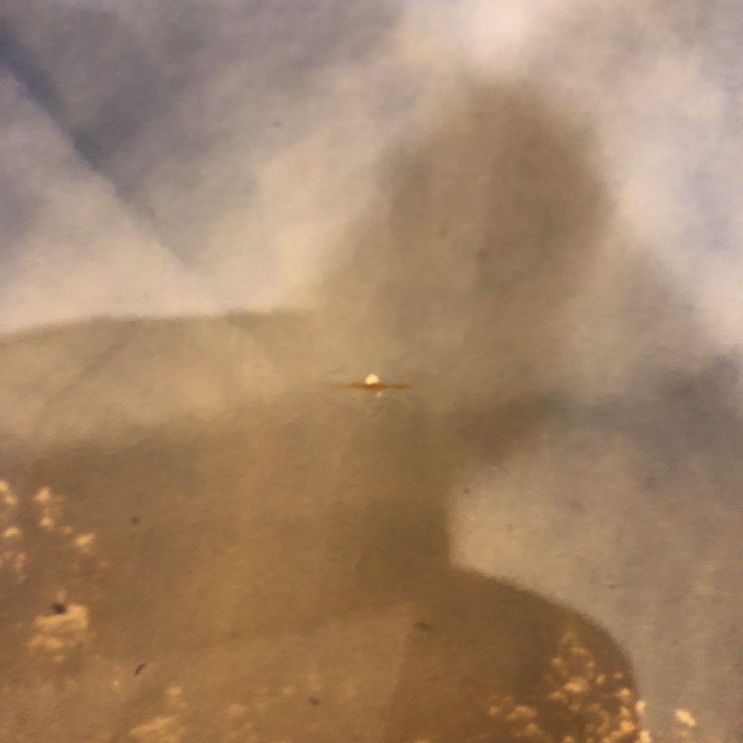 日光東照宮　冬の陽明門、北極星　写真