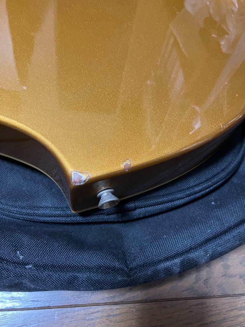 Fernandes Ravelle ギター