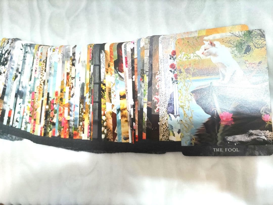 Y’s garden☆日本未入荷✨新品未使用✨正規品✨猫タロット✨1点のみ