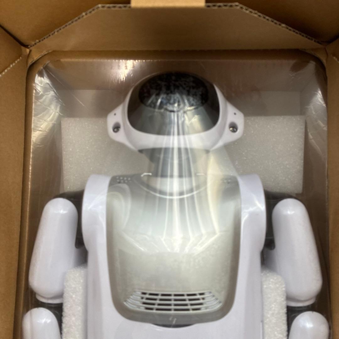 ※値下げしました　パルミーロボット　　palmi RPT-D004JW