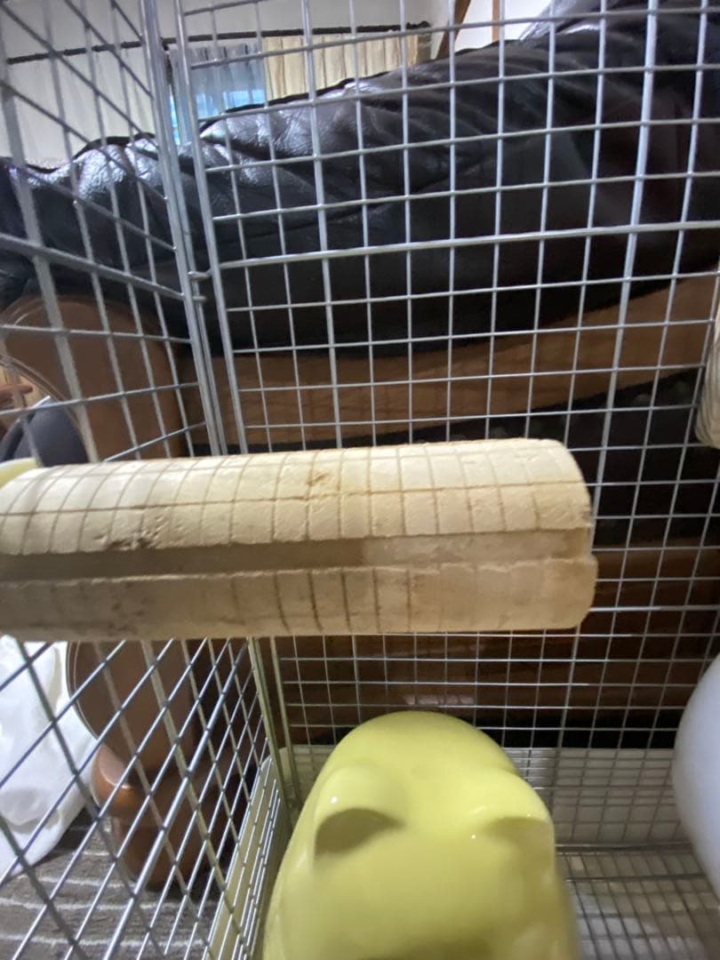 【チンチラ初めて応援セット！】ケージ込で全15点 イージーホーム60ハイメッシュ