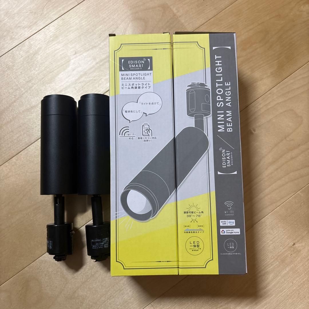 エジソンスマート　ミニスポットライト　黒　２個セット　RST-TL167BK