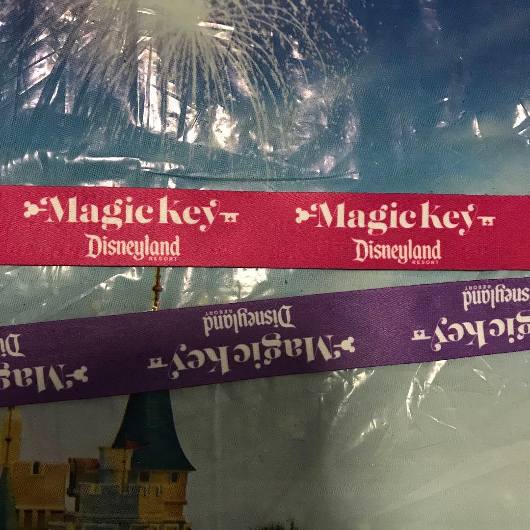 カリフォルニアディズニーランド　年パス　限定　ミッキー　シッパー　ドリンク