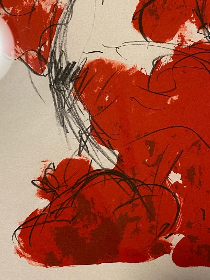 「真作」天野喜孝「朱夏花－あかいはな－」額装　版画　32/100　直筆サイン入り