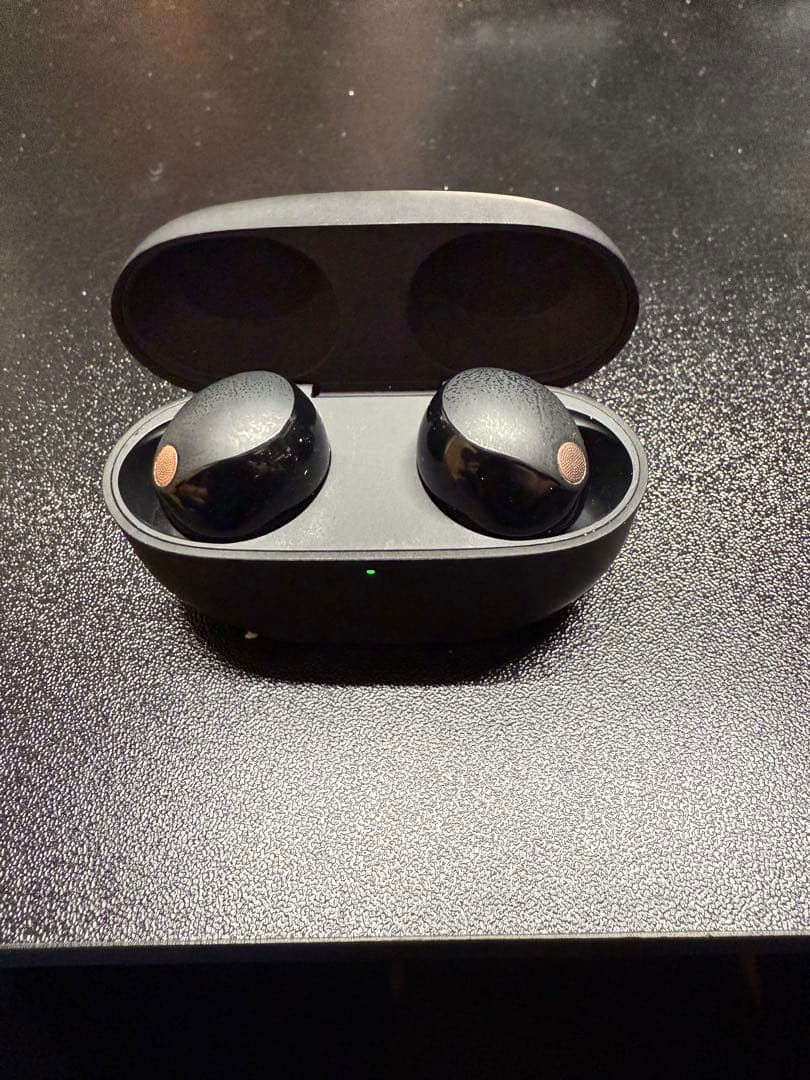 SONY WF-1000XM5 イヤーピースなし