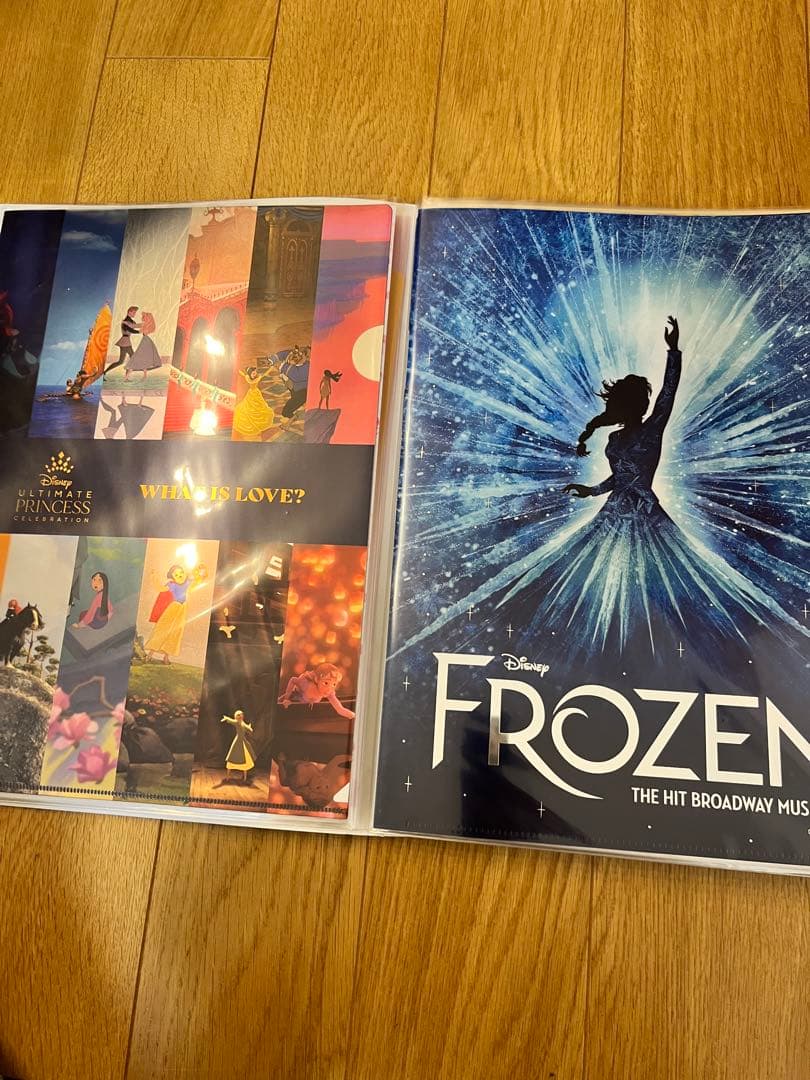 ディズニー　クリアファイル大量セット