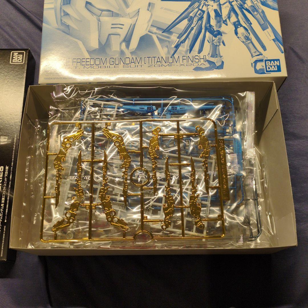 RG ストライクフリーダムガンダム チタニウムフィニッシュ & 天空の翼