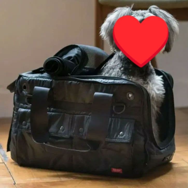 free stitch フリーステッチ DUCAキャリーバッグM 軽量キャリー