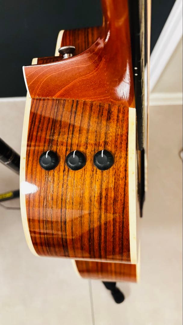 214ce DLX ES【Taylor】 アコースティックギター