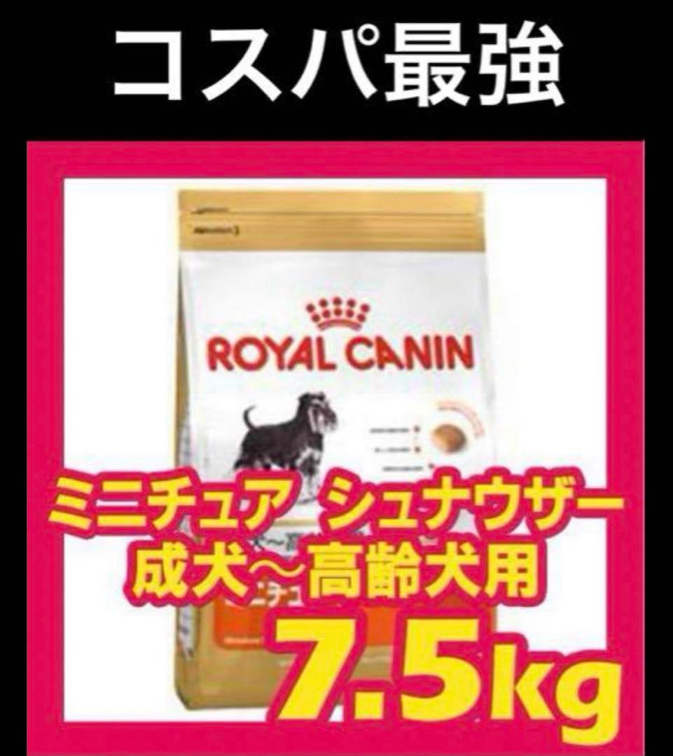 新年セール！２個セット CANIN ミニチュアシュナウザー 7.5kg