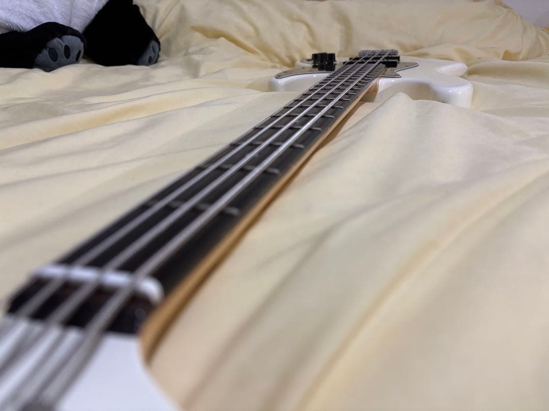 ベース bacchas WL-434 WOODLINE global series