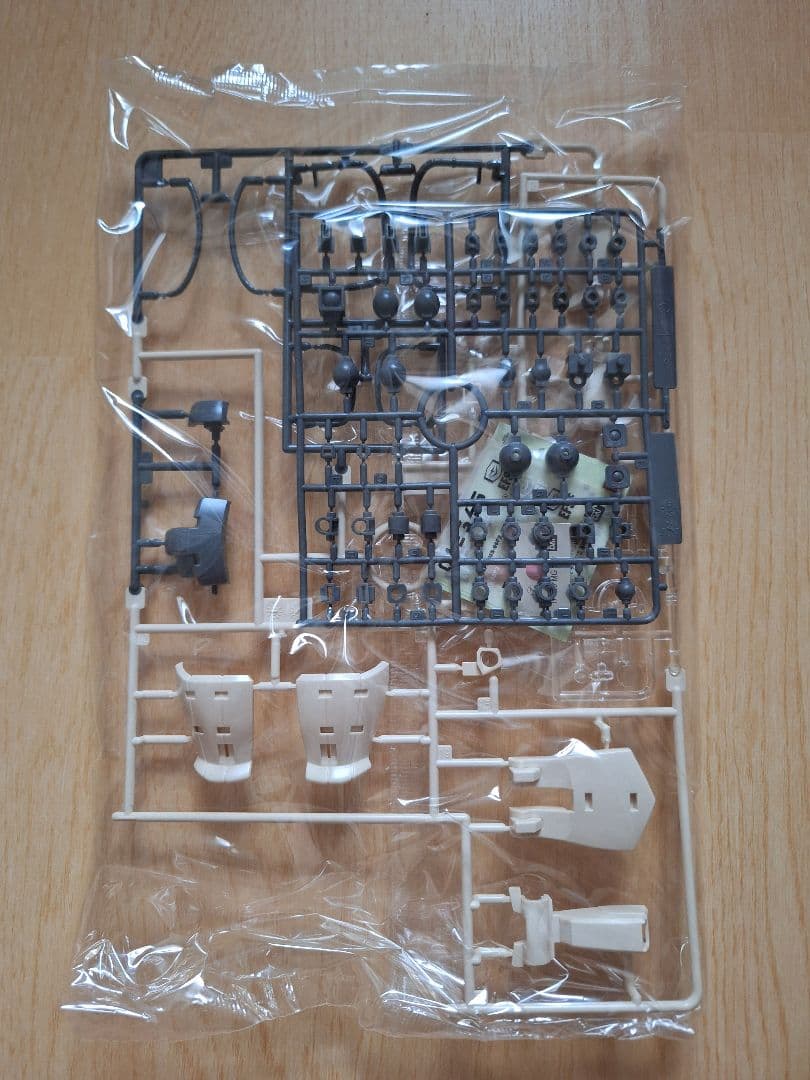 ２０年以上前のMG 1/100 MS-06F-2 ザクII F2型(連邦軍仕様)