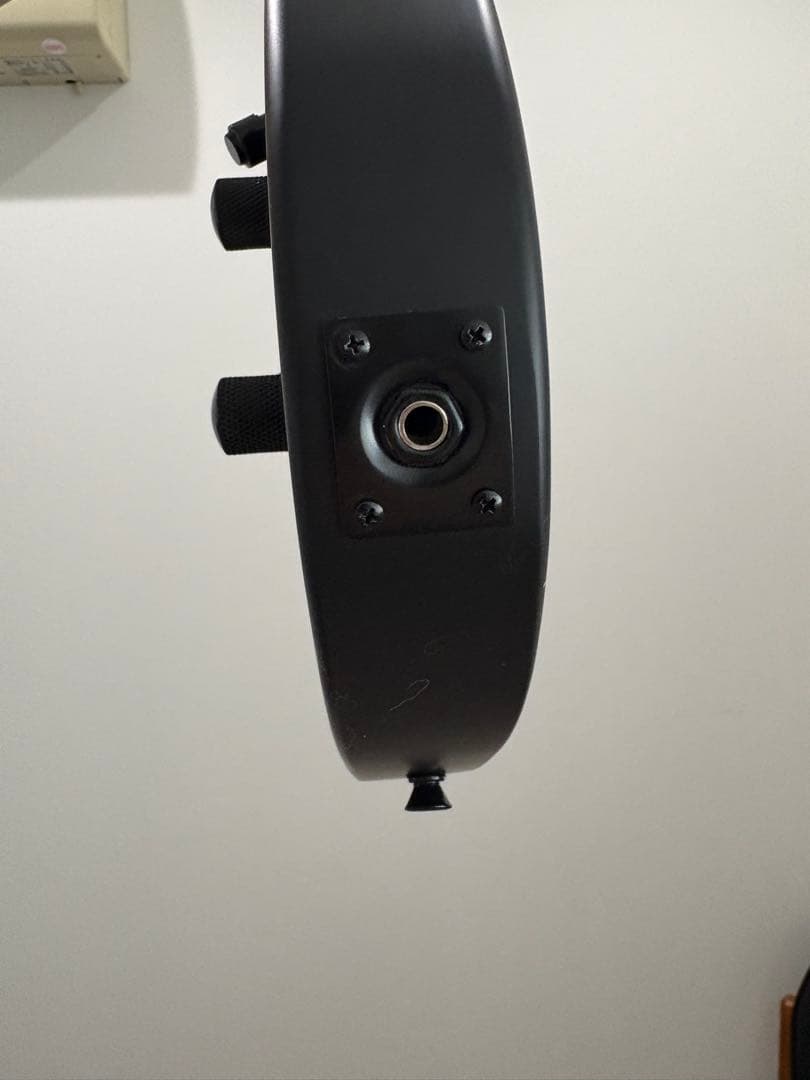 ポチョムキン　Harley Benton TE-20HH SBK