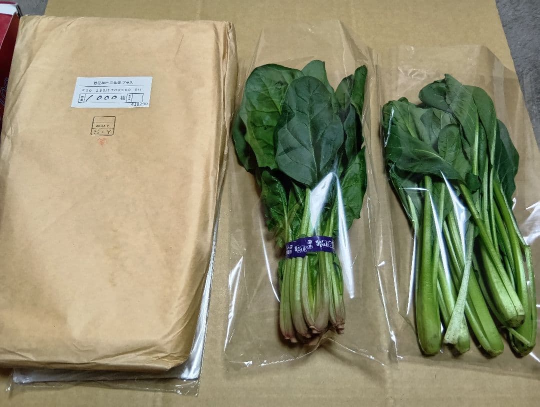 葉物野菜出荷用三角袋5000枚　小松菜、ほうれん草等に