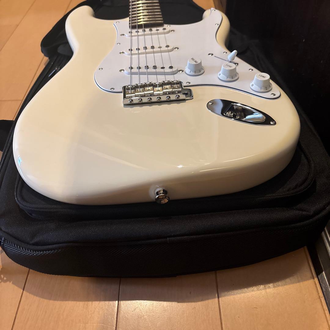 新品 FGN BCST100RBD-VWH フジゲン