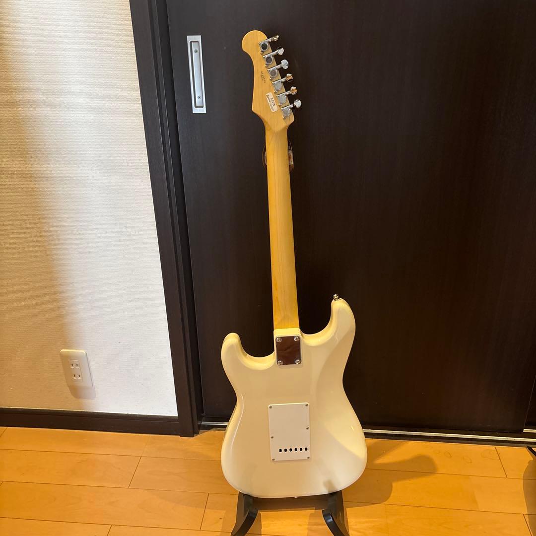 新品 FGN BCST100RBD-VWH フジゲン