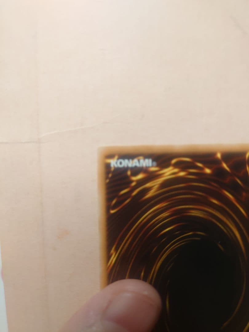 遊戯王　ブラックフェザードラゴン　ホログラフィックレア　英語版