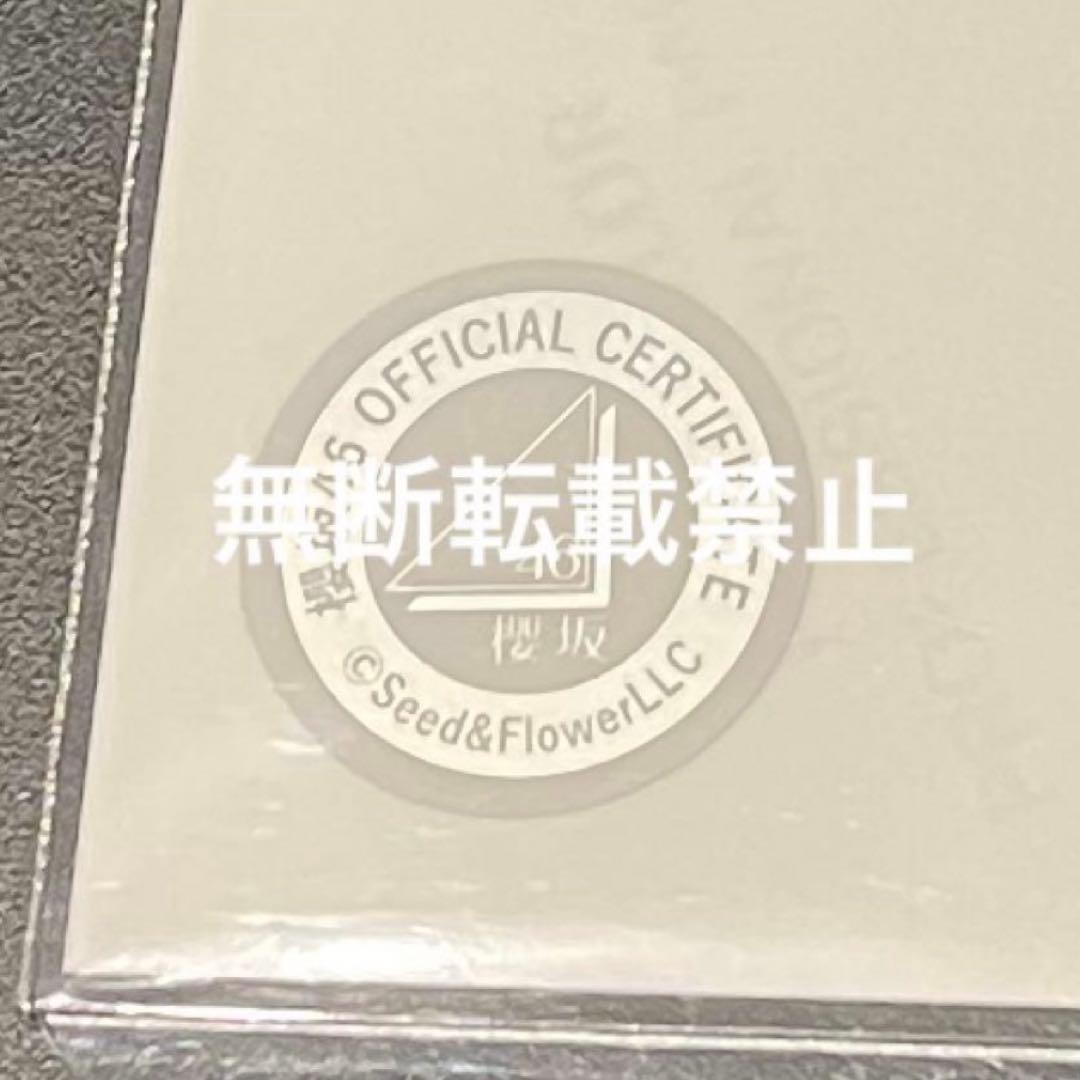 櫻坂46 浅井恋乃未　生写真　2025年　サンタ衣装　直筆サイン　チュウ