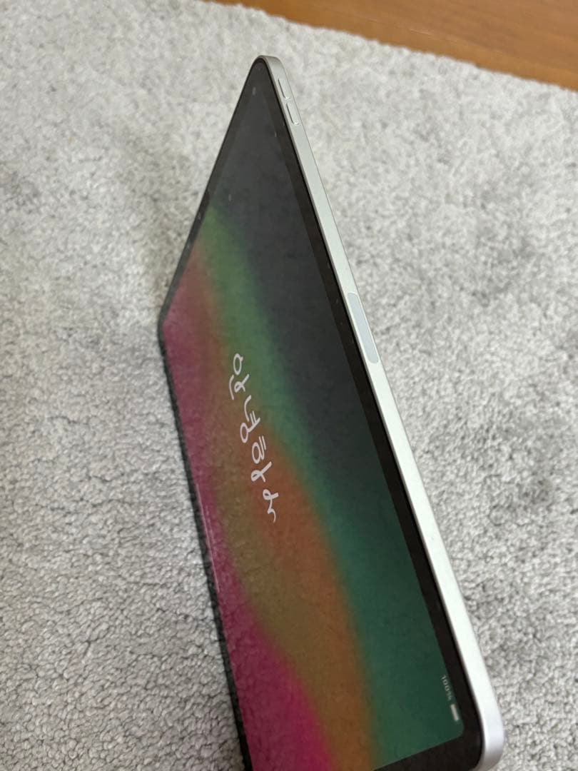 iPad Pro 11インチ　第4世代 256GB　Wi-Fiモデル　Apple