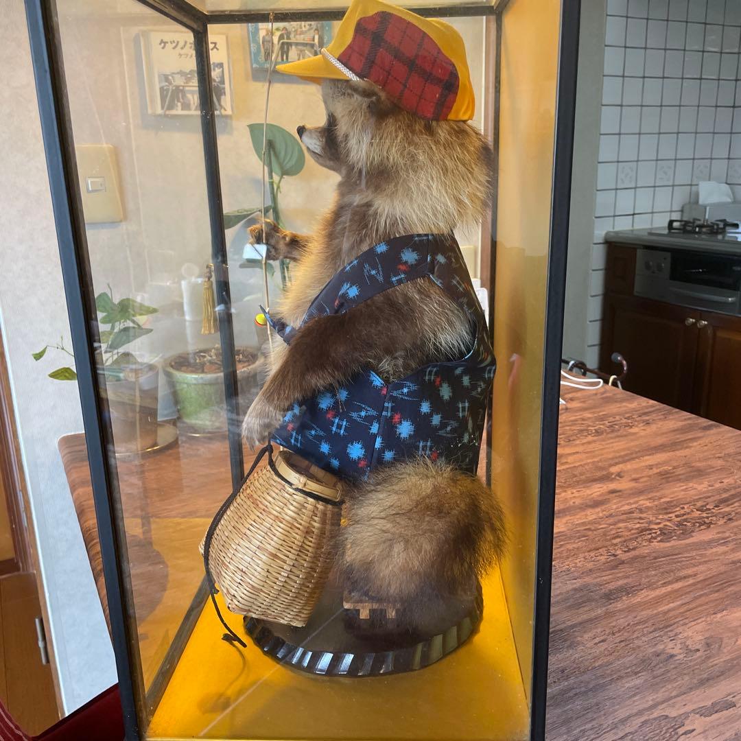 釣り師狸（タヌキ）置物/ たぬきの剥製