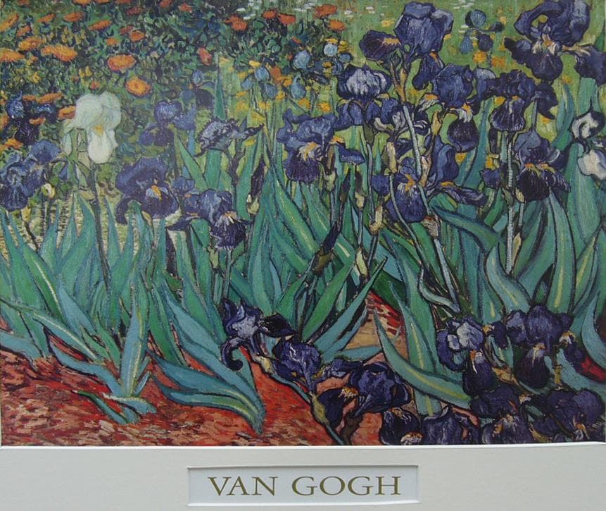絵画 ヴィンセント・ヴァン・ゴッホ 複製画 アイリス