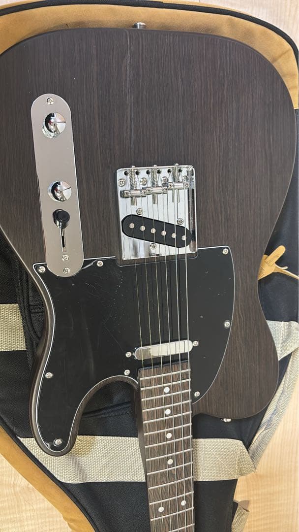 Bacchus Universe Series エレキギター ギターケース付