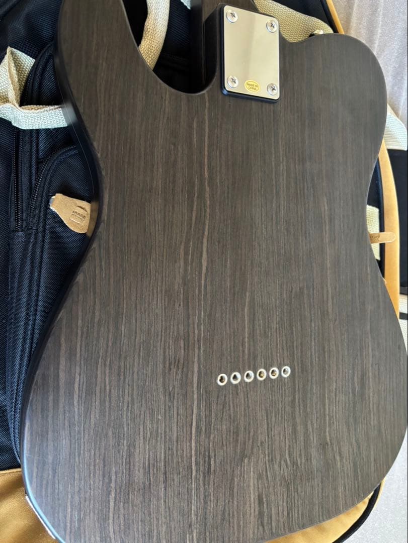 Bacchus Universe Series エレキギター ギターケース付