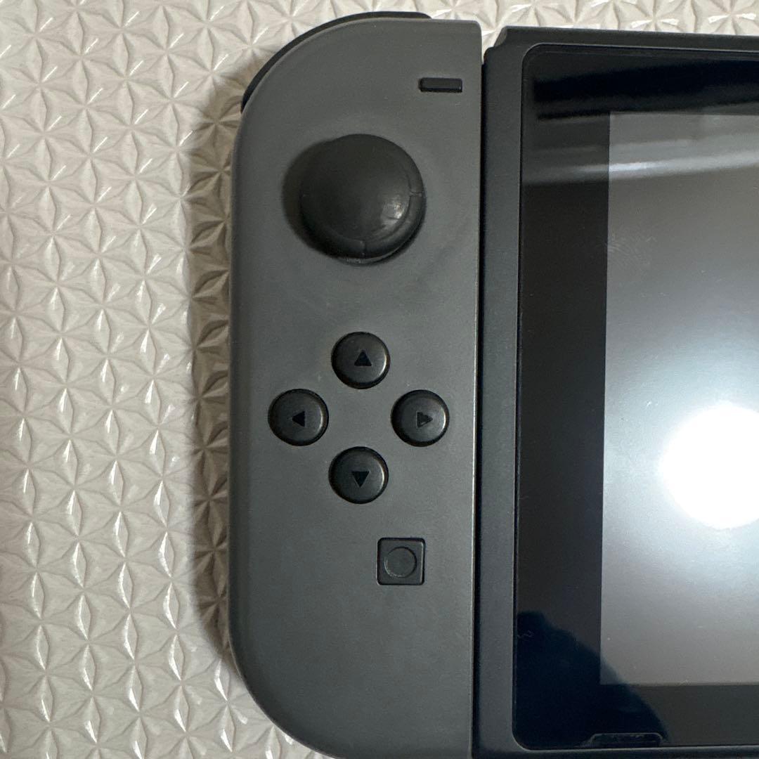 Nintendo Switch グレー本体 付属品付き&公式ソフトケース付