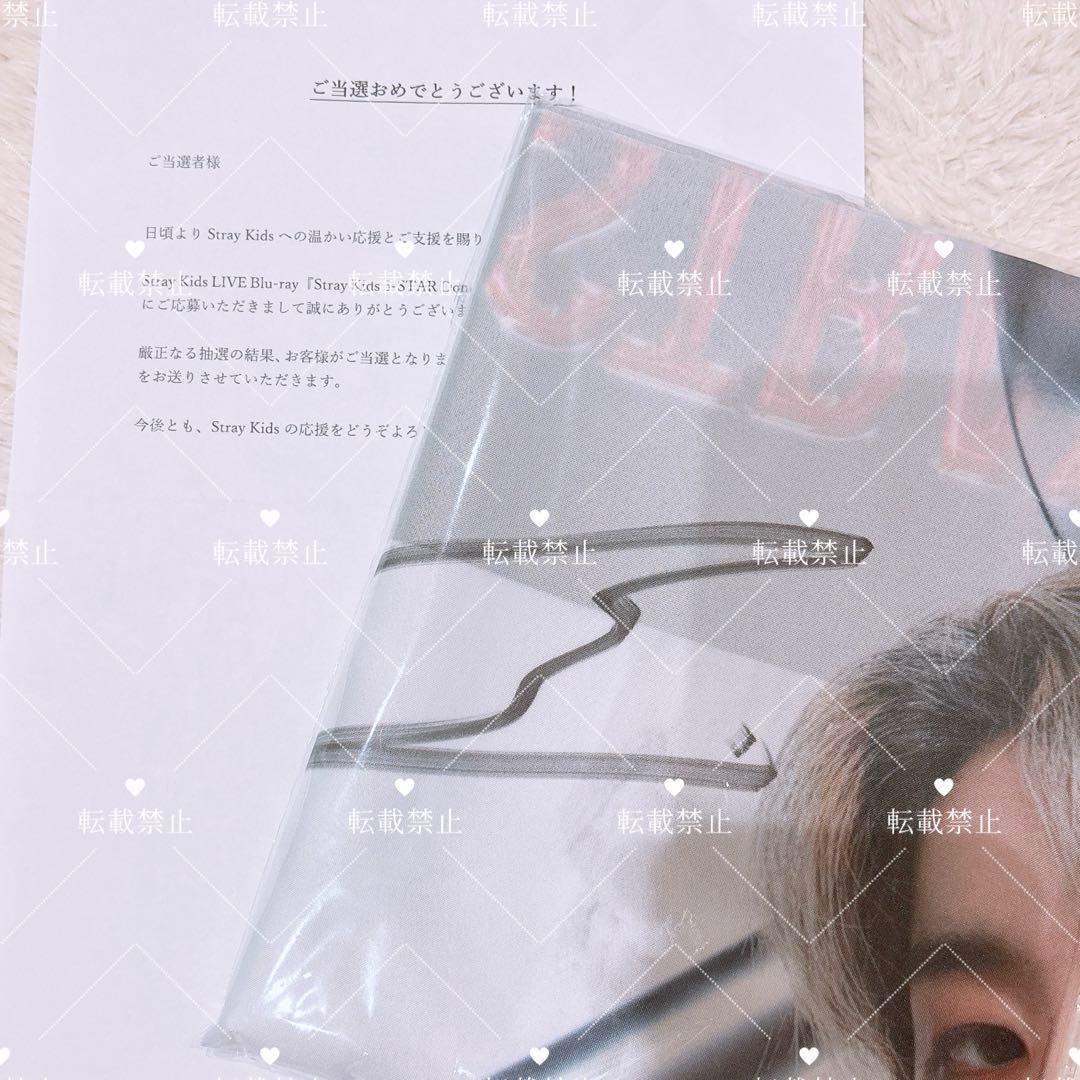 StrayKids スキズ ハン HAN 直筆サイン入りフラッグ 5-STAR