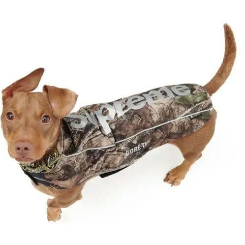 Supreme GORE-TEX Dog Jacket　ドッグウェアS サイズ