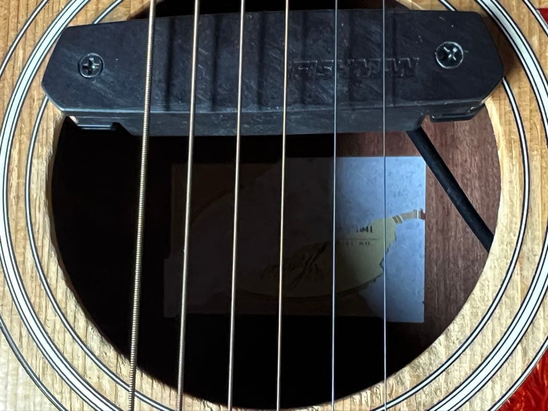 Taylor 110e テイラー エレアコ　fishmanピックアップ美品