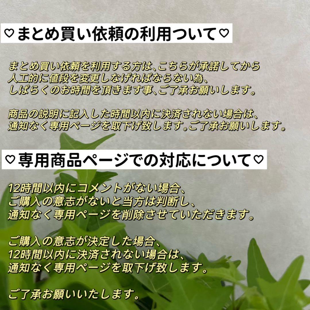 あまね様 リクエスト 2点 まとめ商品