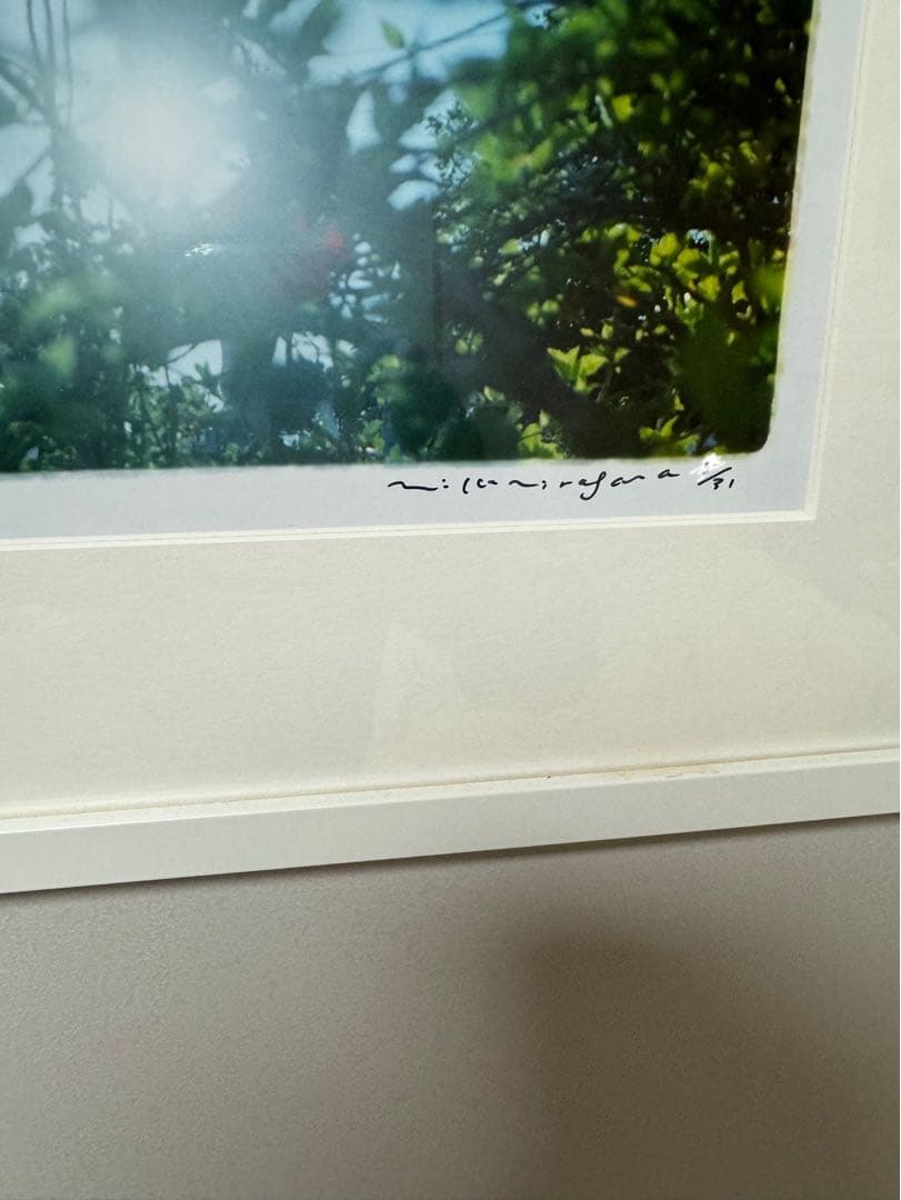 入手困難！蜷川実花　BABY BLUE SKY - 1