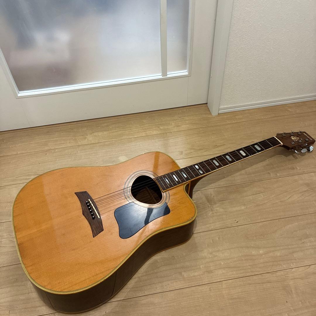 激レア！TF モーリス　MORRIS W-621R schallerペグです