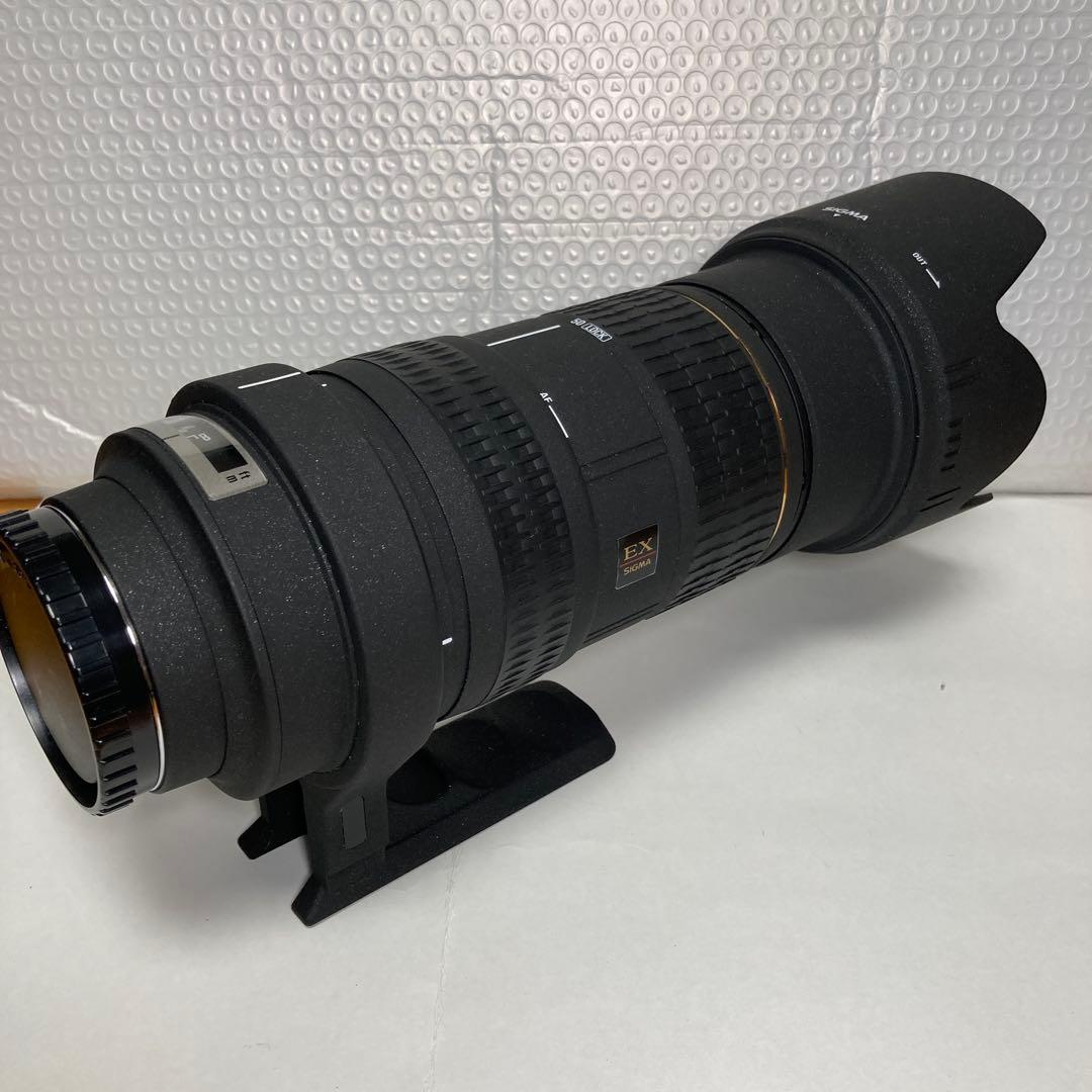 SIGMA APO 50-500mm F4-6.3 EX SONY用