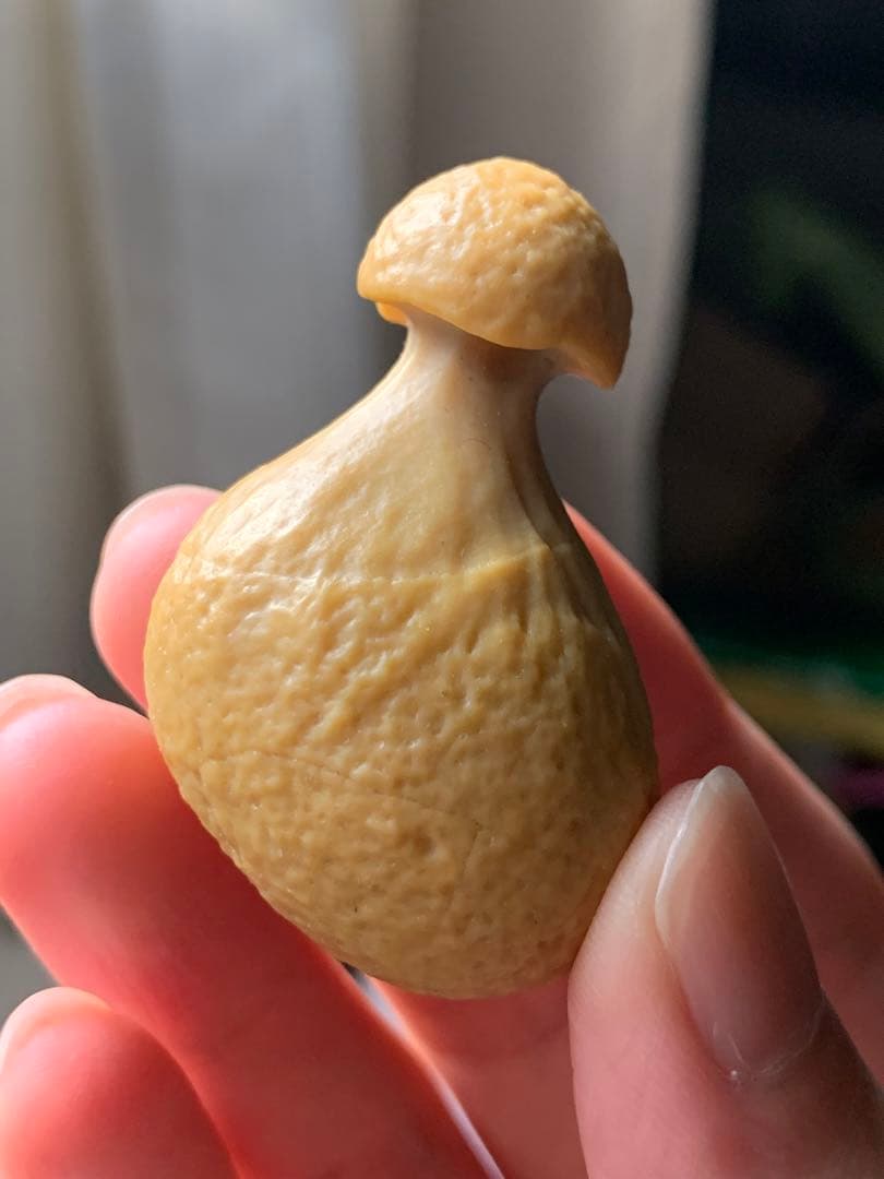 アラシャンゴビアゲート　蒙古瑪瑙　原石　水石　翡翠　オパール　根付　天珠 翡翠